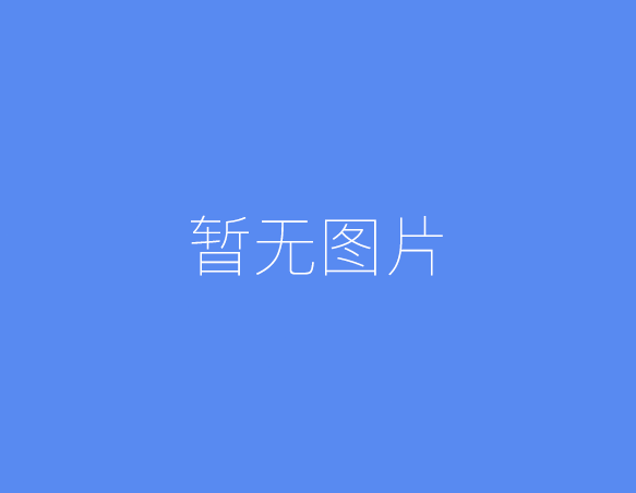 广州赖译成的相关长尾关键词有哪些