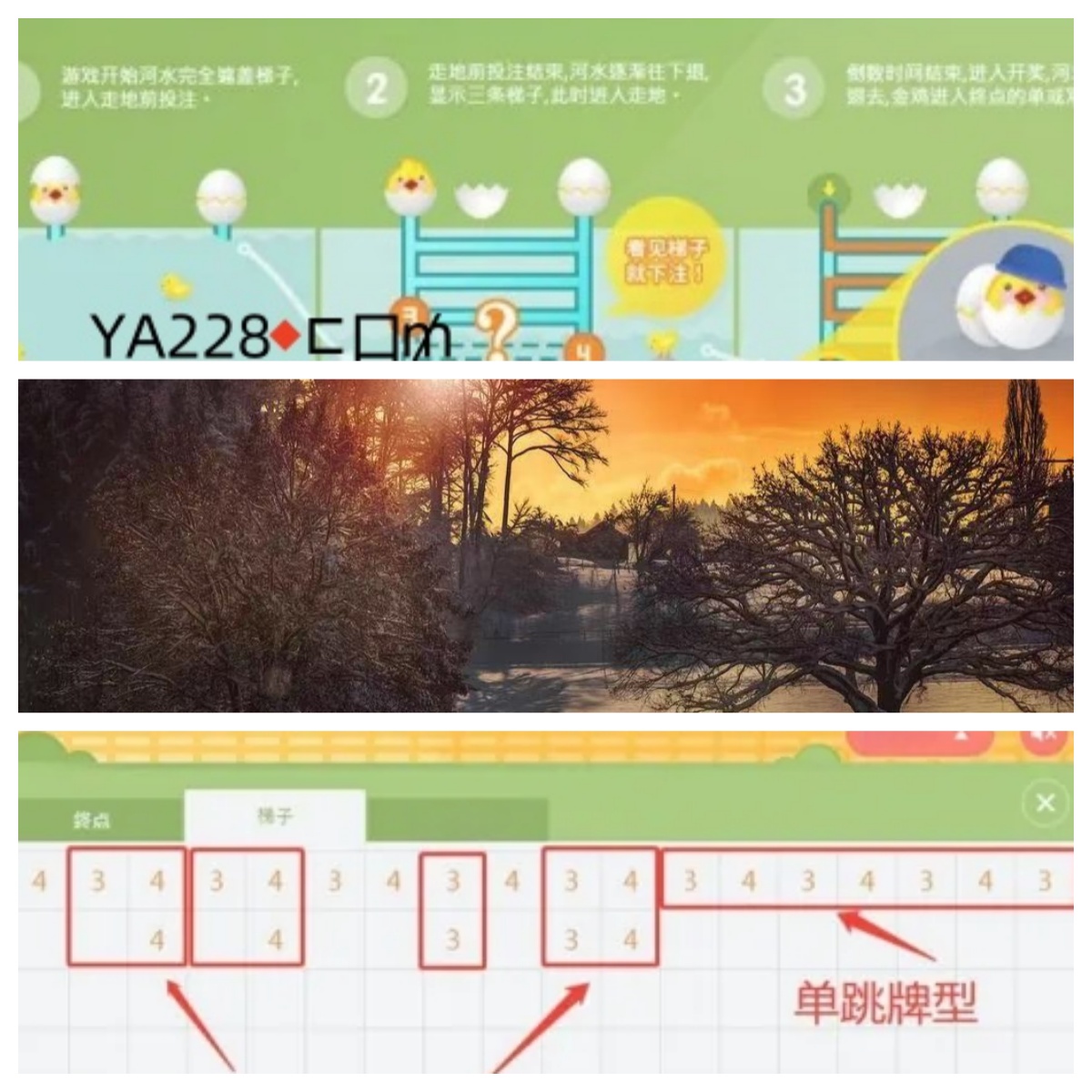 BB淘金蛋游戏规律心得总结讲解淘金蛋游戏具体走势攻略